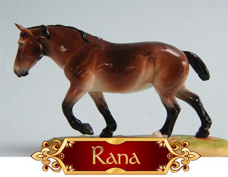 Vattenshowens Rana SR 2014